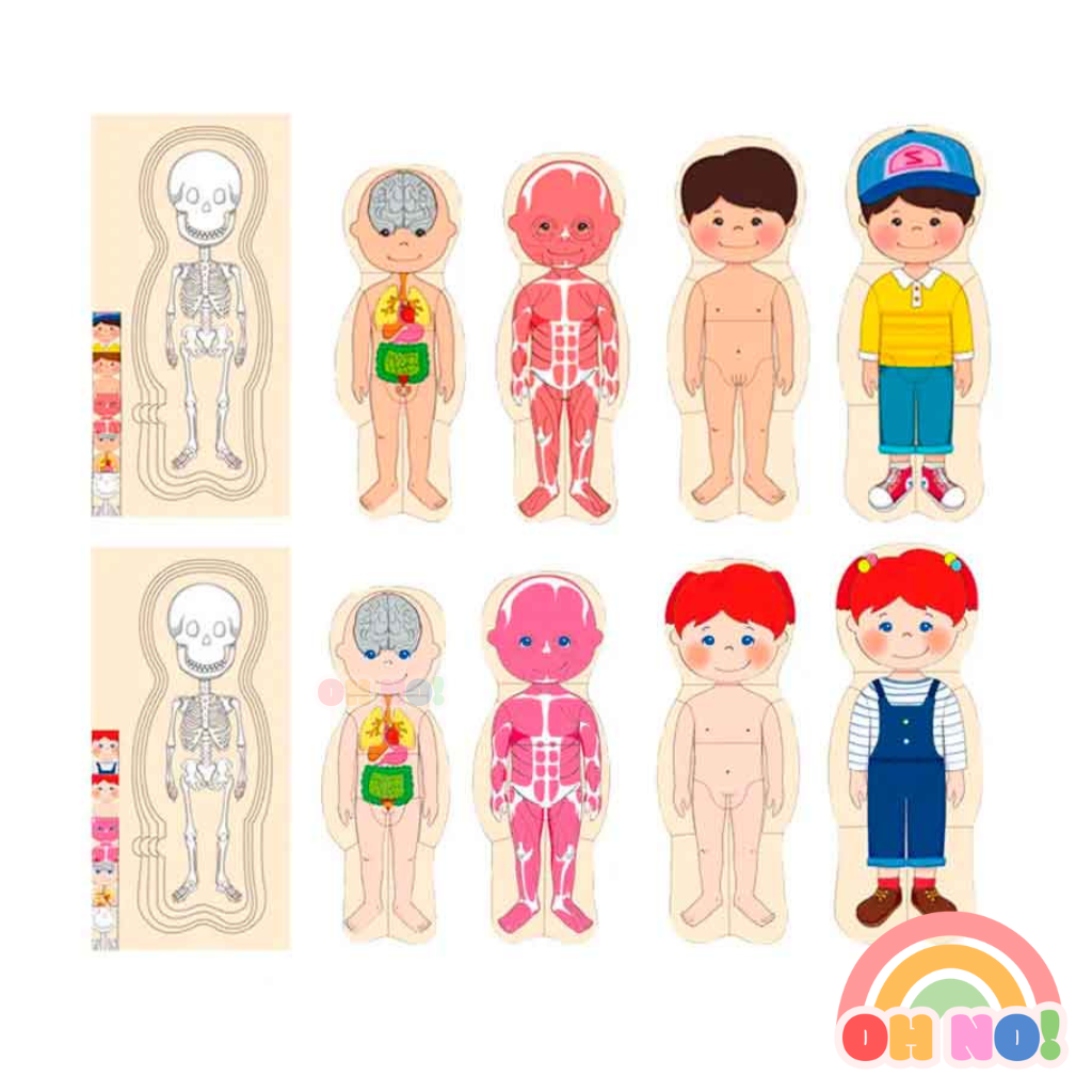 Puzzle Cuerpo Humano ¡OH NO! 🌈